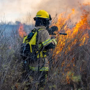 Best Northern California Wildfire Lawyer